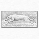 On Course
Charcoal NFS